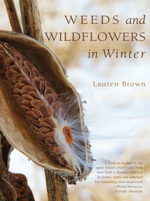 cover image of Weeds and Wildflowers in Winter